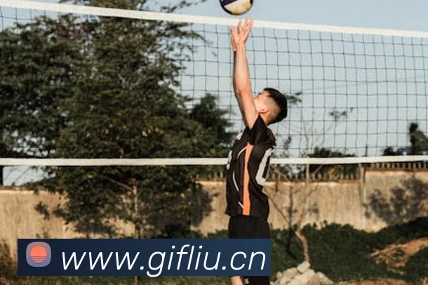 kaiyun官方登录入口平台生态图